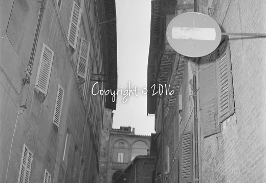 Palio di Siena